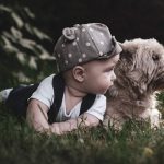 Dog and your baby